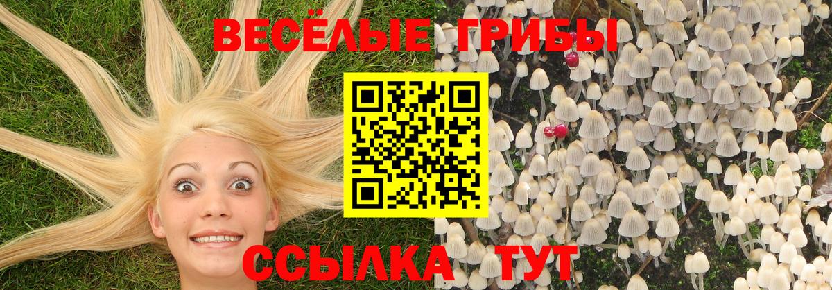 Вязники  Псилоцибиновые грибы Magic Shrooms  Вход с VPN 
